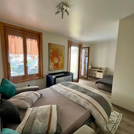 Magnifique T3 Face Au Lac Evian-les-Bains Ngoại thất bức ảnh
