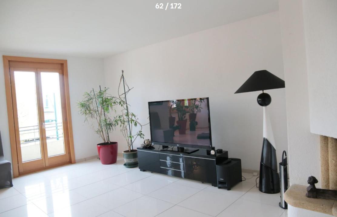 Magnifique T3 Face Au Lac Evian-les-Bains Ngoại thất bức ảnh